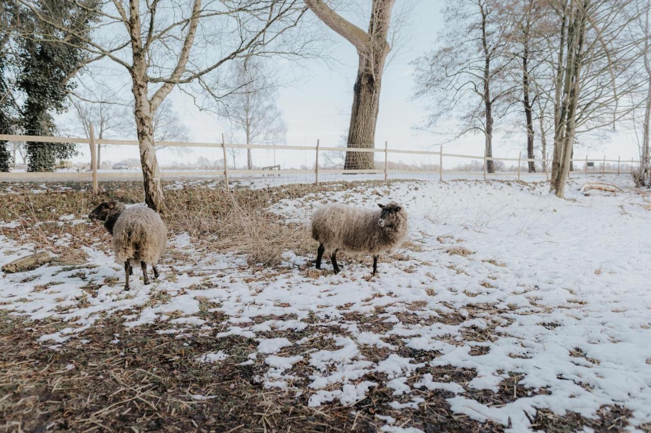 Our Farm Ferienwohnung Grasberg Exteriör bild