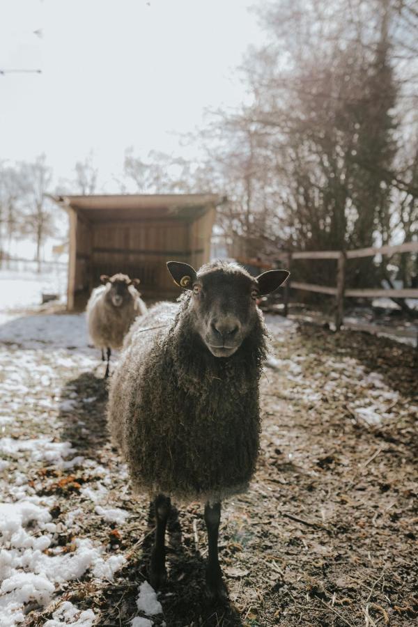 Our Farm Ferienwohnung Grasberg Exteriör bild